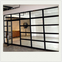 Black Anodized Aluminum Frame Tempered Frosted Glass Garage Door