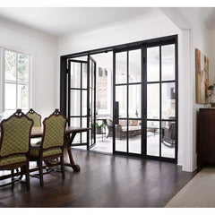 LVDUN Modern style home decoration wrought iron windows steel frame interior glass door