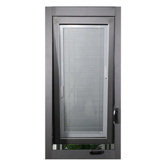 Warren 28x64 Aluminum double glass casement window color customized good quality for sale