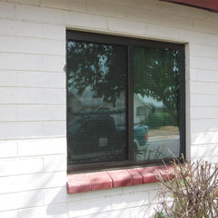 LVDUN Slim Tempered Glass Swing Doors For New Model House Windows Steel Glass Shower Door