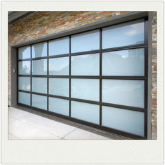 Modern style automatic sectional glass garage door