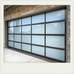 Black Anodized Aluminum Frame Tempered Glass Garage Door