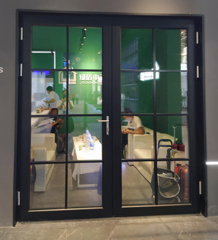 LVDUN  aluminium entry door with low threshold with German hardware  and frosted glass single doors