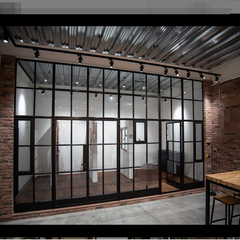 High quality material fasion design customized sliding door and windows pocket door