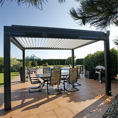 New Fast Sale Aluminum Retractable Awning With Adjustable Louver New Pergola